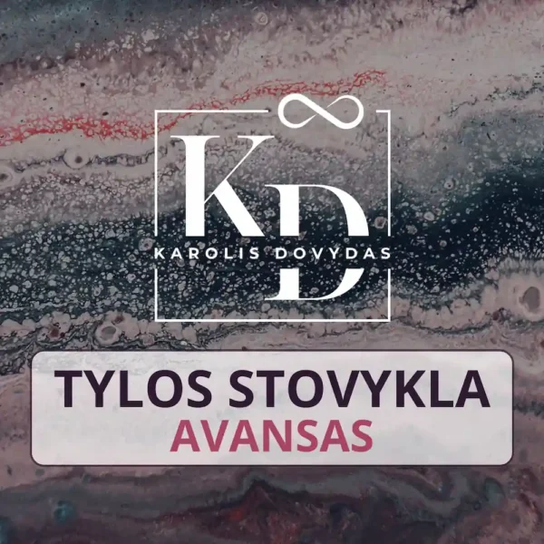 Tylos stovykla registracijos bilietas 1